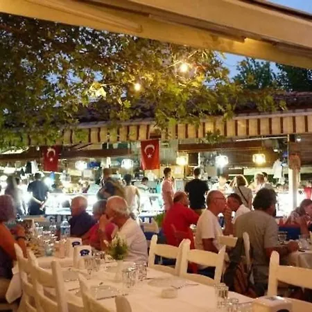 Portakal فيلة *